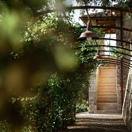 Tenuta Castelgiocondo Montalcino Kültér fotó